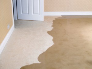 water-damage-on-carpet