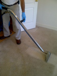 carpet cleaning