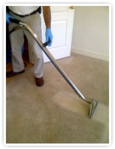 Professional Carpet Cleaning