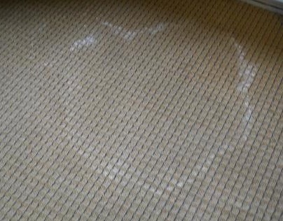 Get Mildew Smell Out