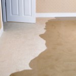 water-damage-on-carpet