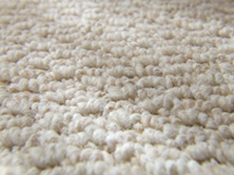 Carpet Warranties