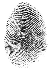 fingerprints on walls